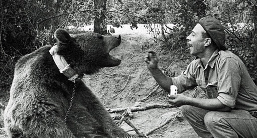 “Wojtek, l’orso Caporale”